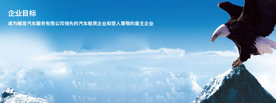 租车价格
